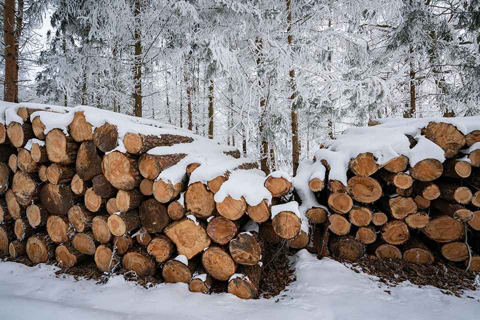 Foto: Holzstapel im Schnee