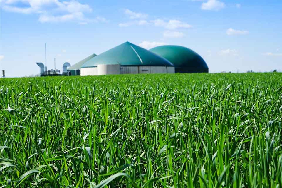 Foto: Biogasanlage umgeben von jungem Getriedebestand