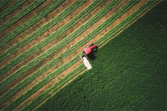 Foto: Traktor mäht grünes Feld